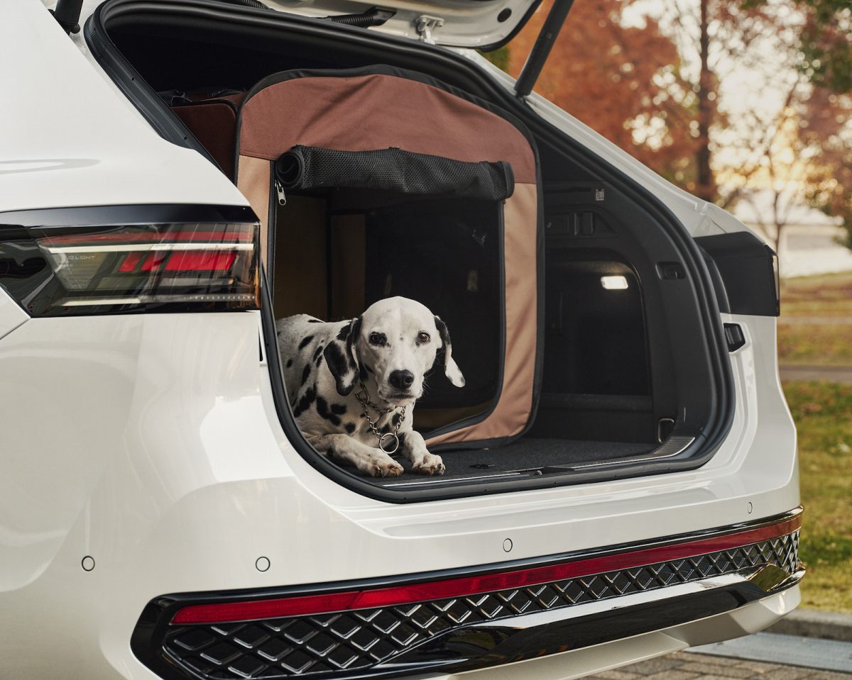 フォルクスワーゲンのファーストクラス「パサート」