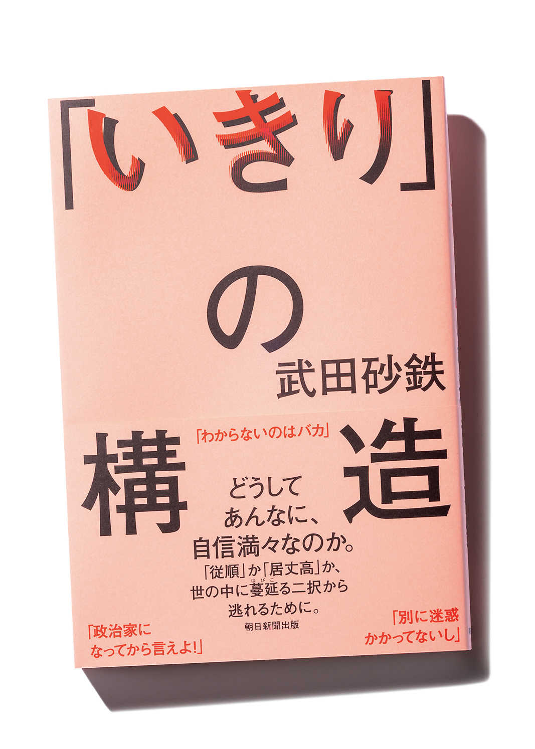 『「いきり」の構造』