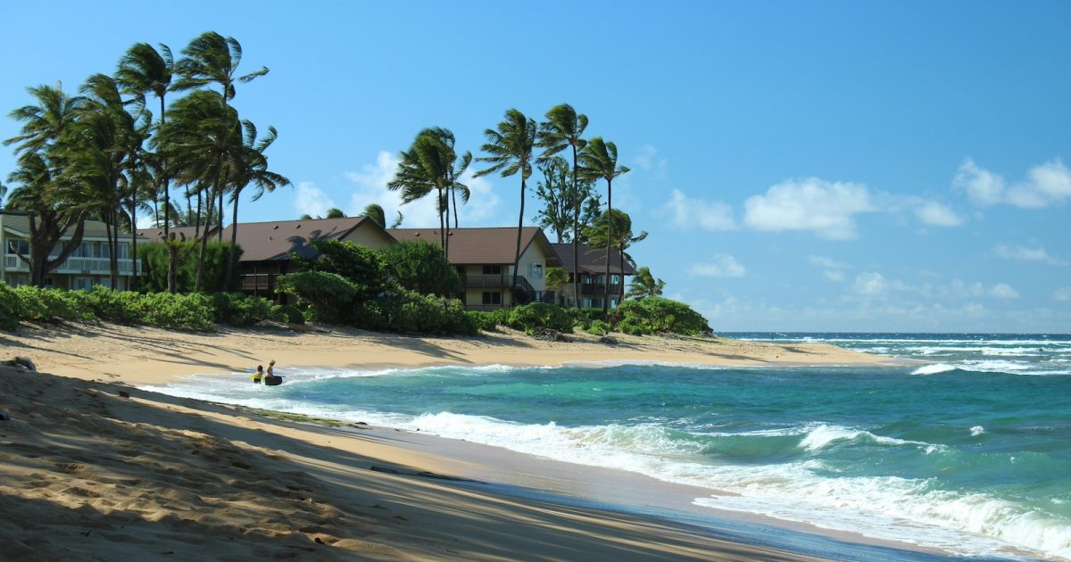 前澤友作の個人活動パブリシストが語る「ハワイ ドタキャン事件」の真相