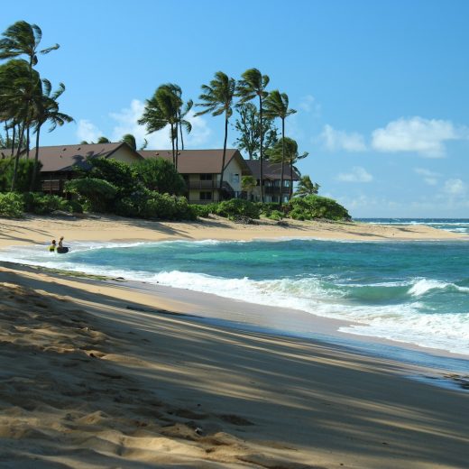 前澤友作の個人活動パブリシストが語る「ハワイ ドタキャン事件」とは