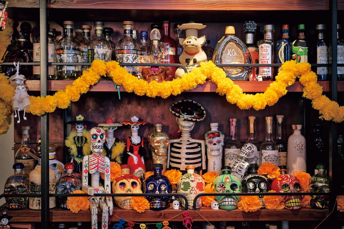 「Gatito」に飾られた髑髏たち