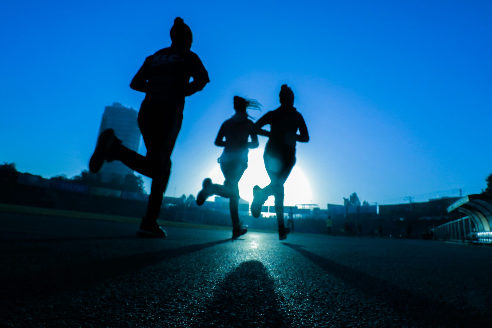 「20分以上運動しないと脂肪は燃えない」という健康神話はなぜ広がったのか？