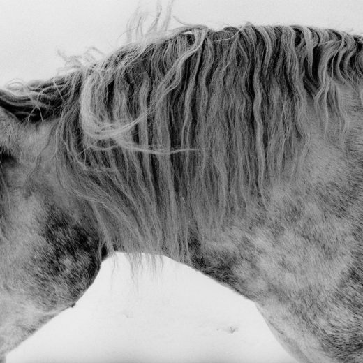 『今という永遠  写真家・操上和美の90年』／『NORTHERN 北の風景』（スイッチ・パブリッシング／2002年）