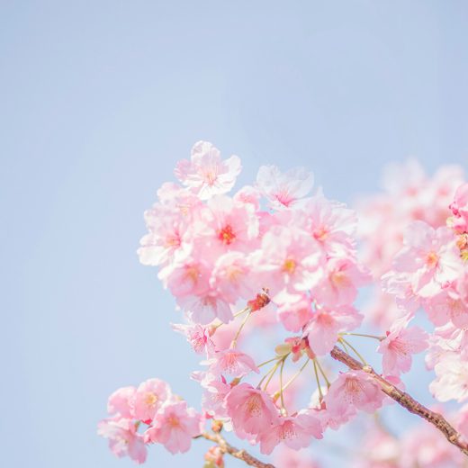 【3月の運勢】仕事に活きる！ ビジネスパーソンのための「九星気学」占い