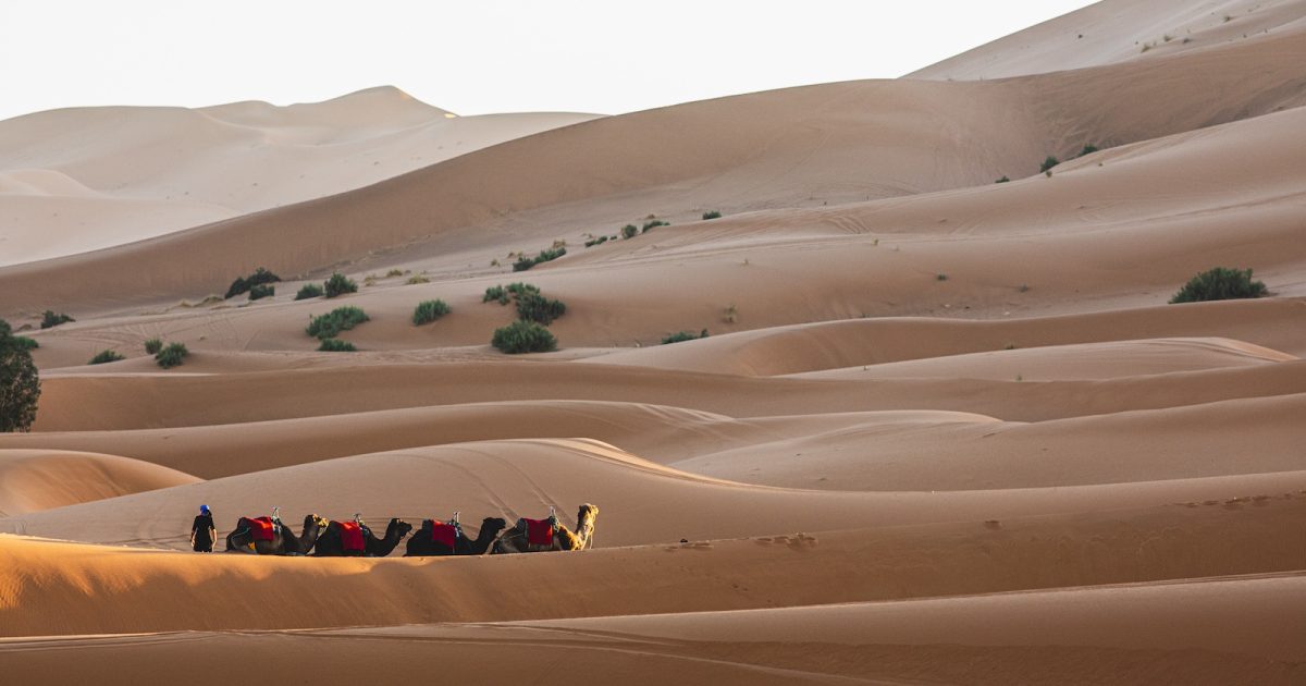 贅沢なモロッコ旅へ。ラクダに揺られて砂漠キャンプ、気球で日の出を