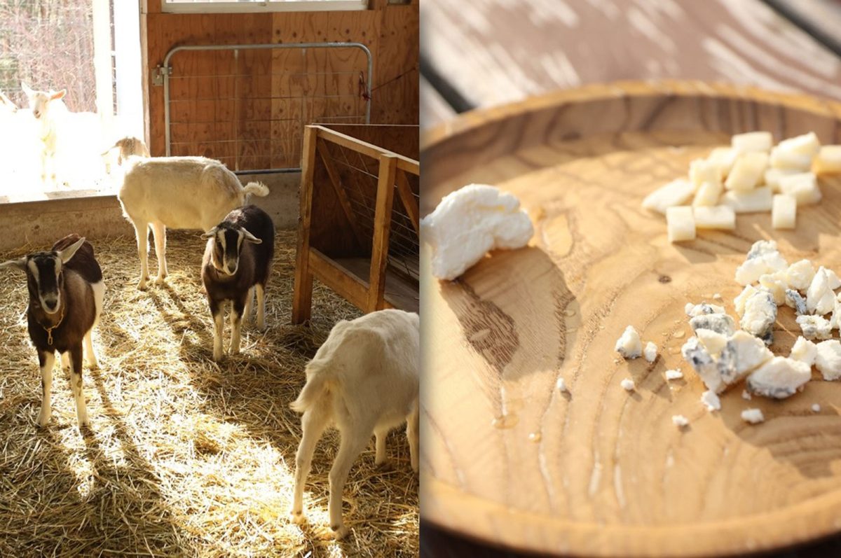 「MAUKA LANI GOAT FARM」