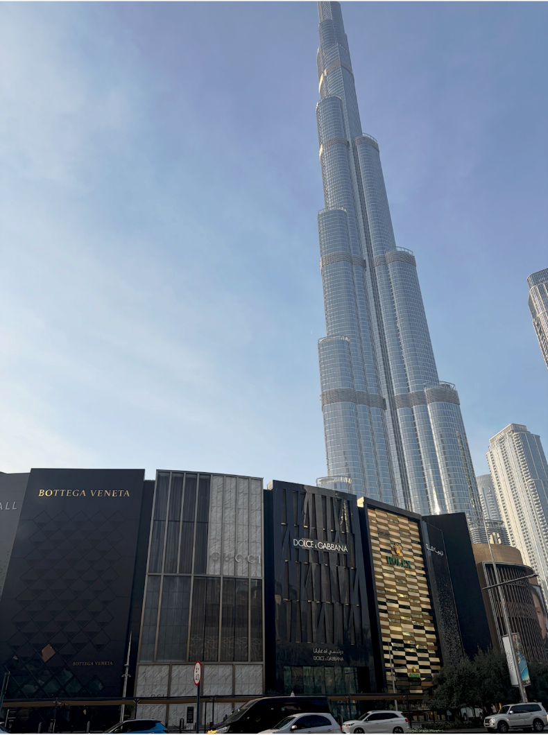 外国人労働者の年収は約7000万円。UAE、ドバイでビジネスエリート集団「EMBA」が見たもの