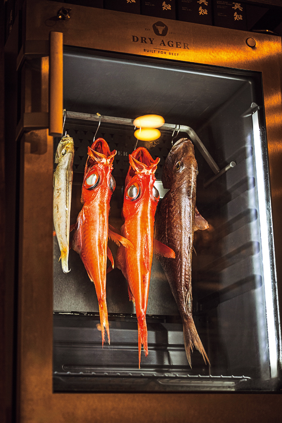 「初音」のドライエイジング庫