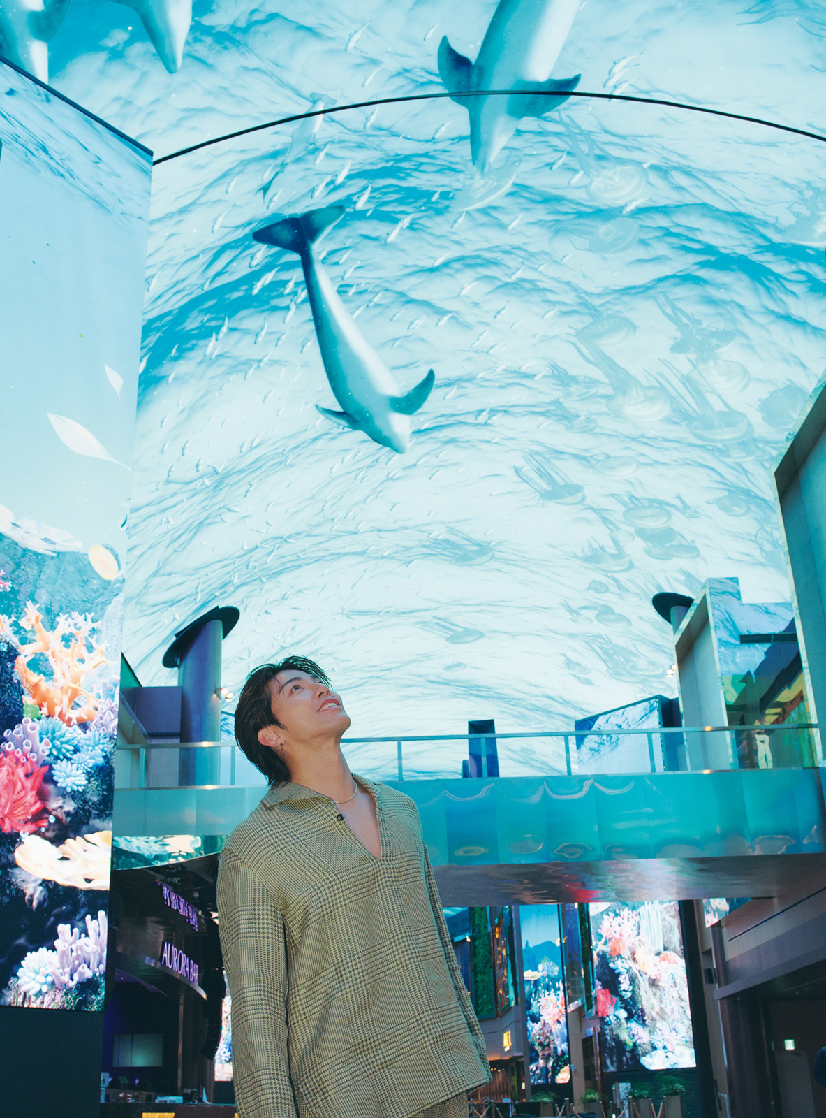 デジタル・エンターテインメント・ストリートの「オーロラ」