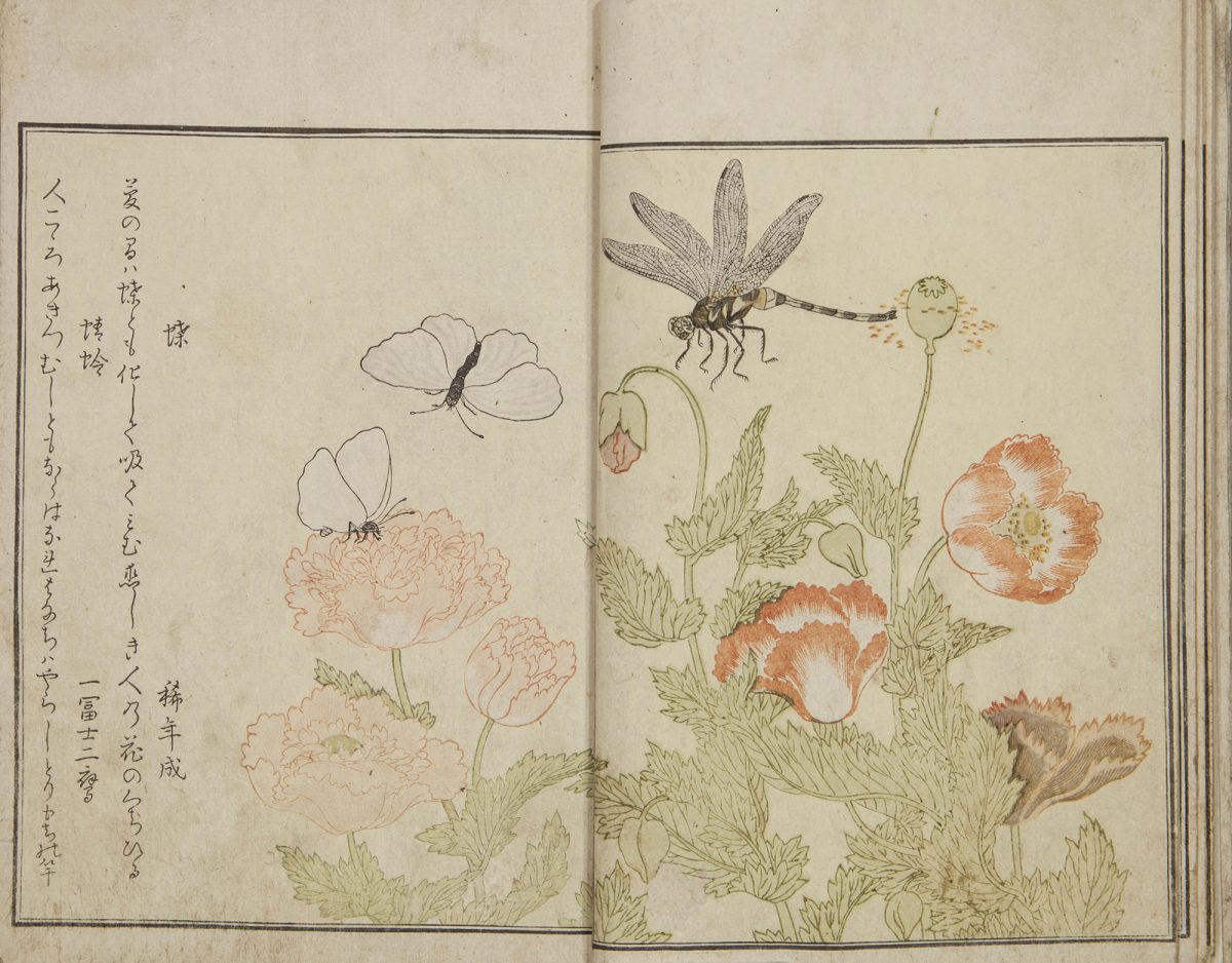喜多川歌麿 「画本虫撰」 天明8年（1788年）