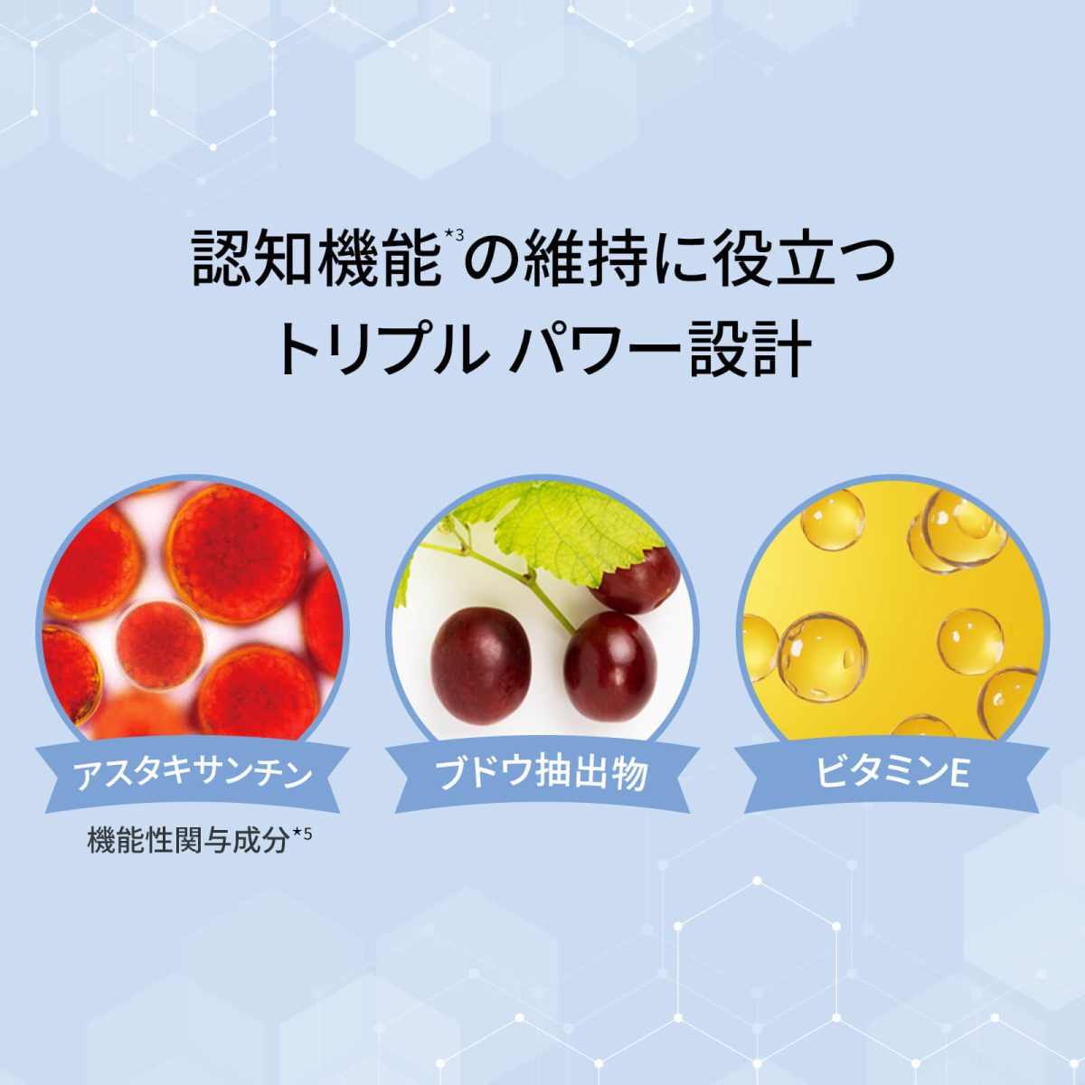 「MYND360 マインド フル」