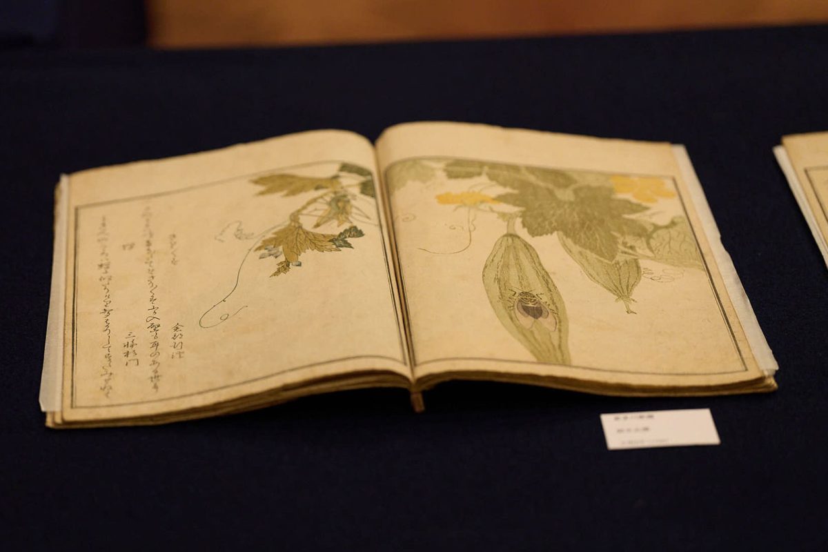 喜多川歌麿 「画本虫撰」 天明8年（1788年）／帝国ホテル 東京で開催された「JAPANESE ESSENCE SALON 特別美術館 ―浮世絵―」。
