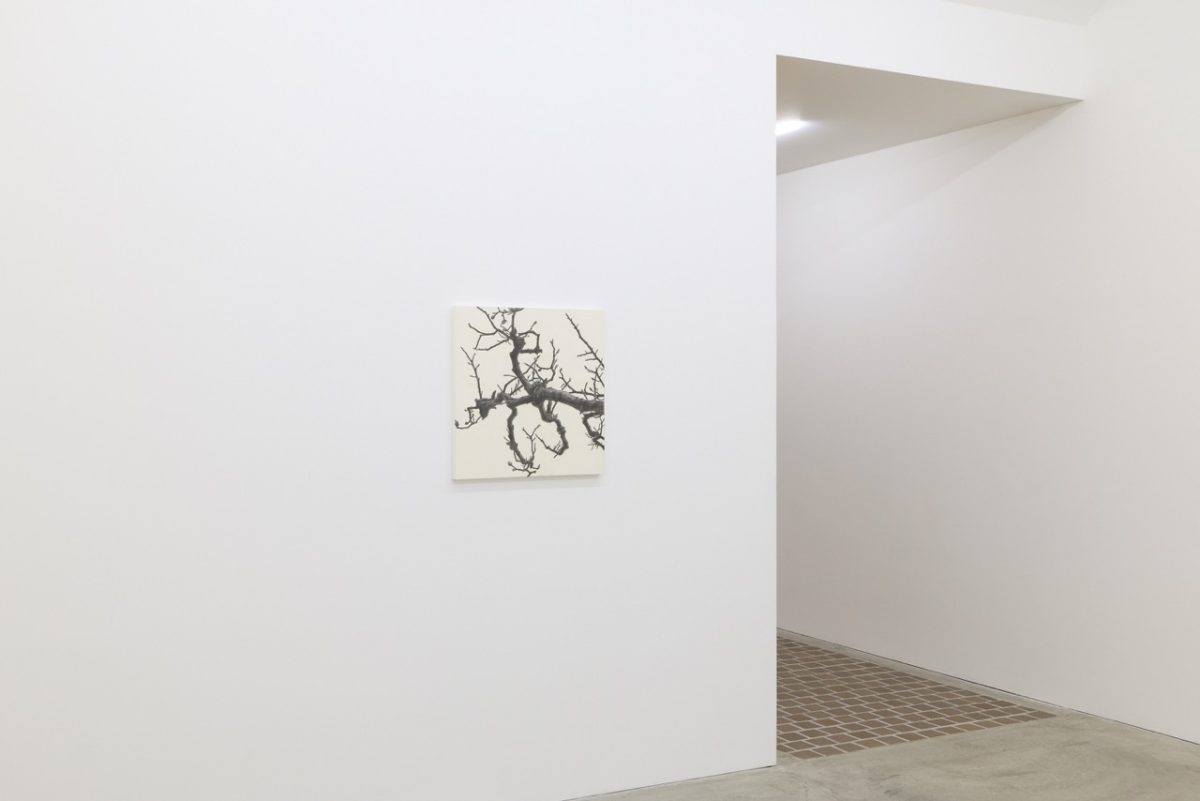 元・ブルータス副編&美術ジャーナリストが「日高理恵子の作品集」に感動した理由