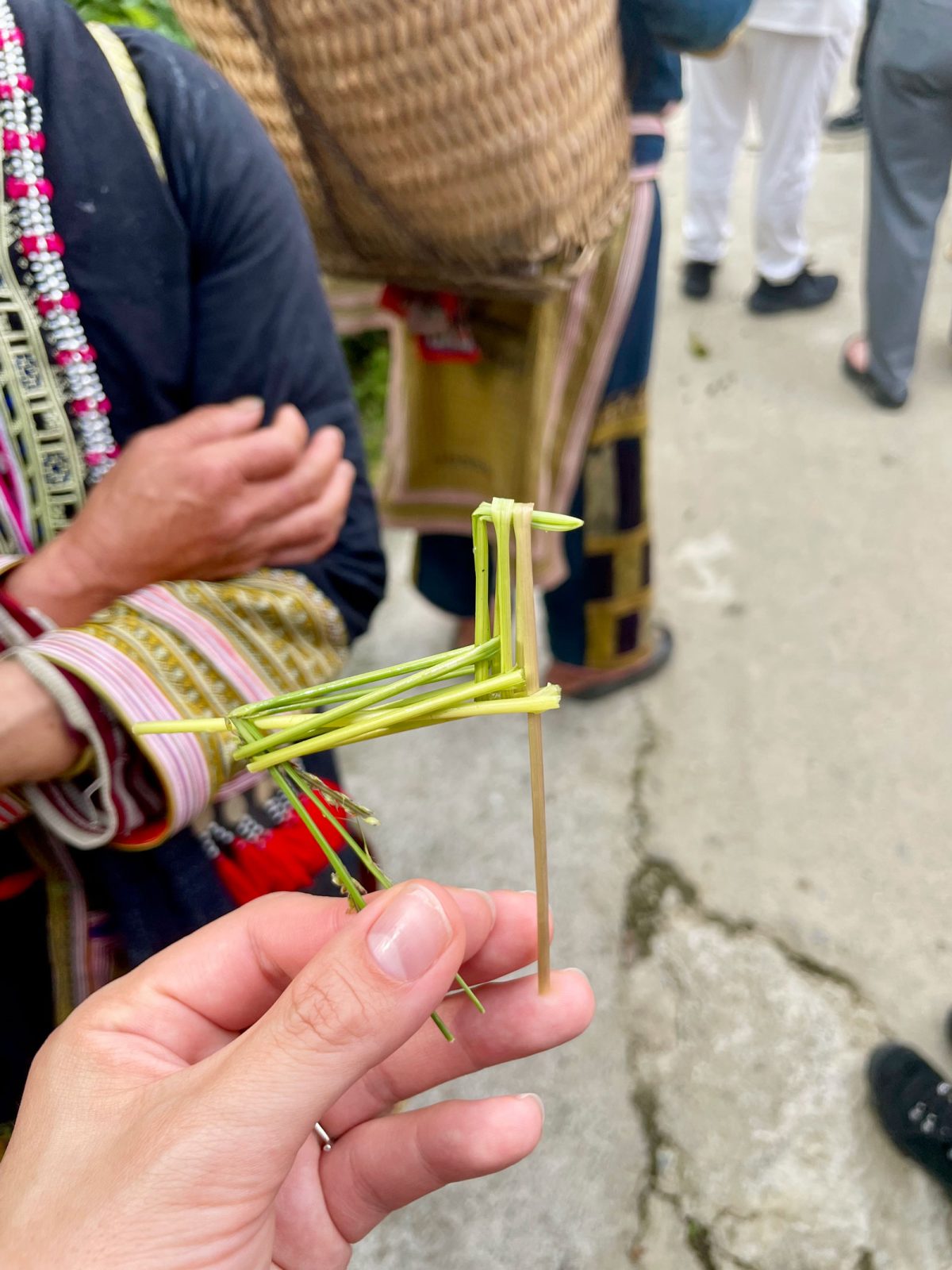 赤ザオ族の暮らすタフィン村