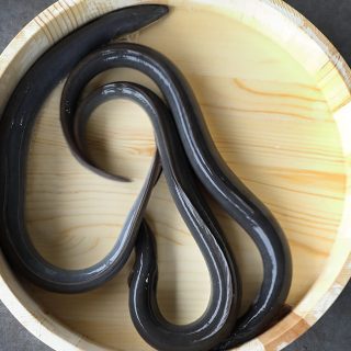 にほんもの外伝
