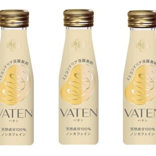 「VATEN（バテン）」