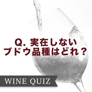 ワインの教養クイズ