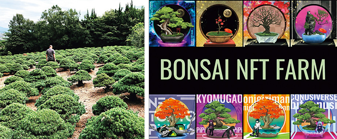 BONSAI NFT CLUB プロジェクトの盆栽園