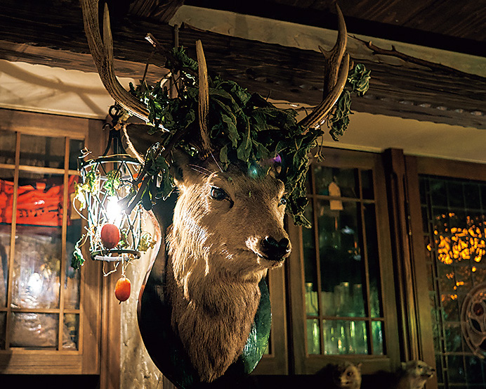 新宿「バー ベンフィディック」に飾られている鹿の剥製
