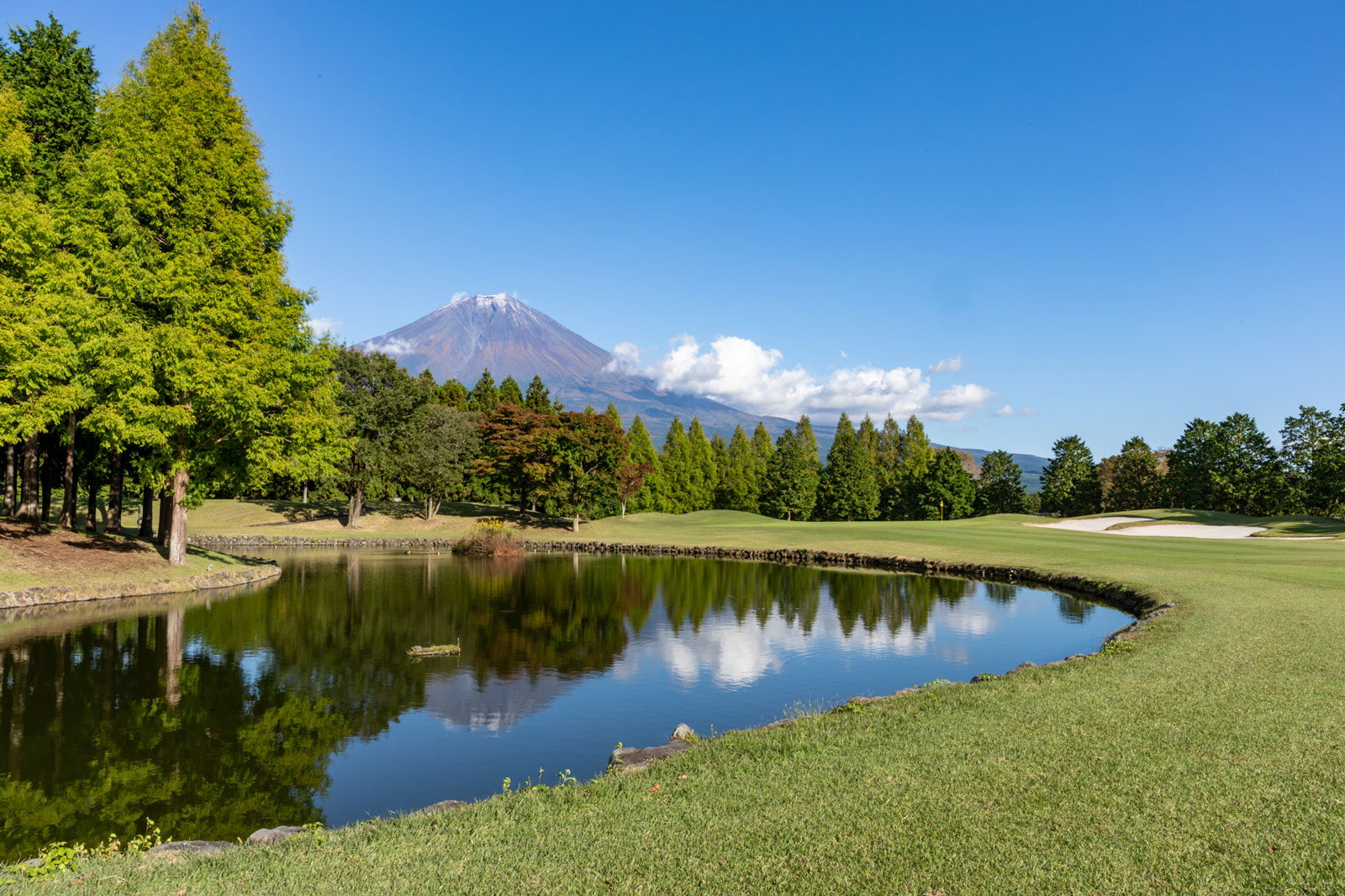 西富士ゴルフ倶楽部名物の14番の池越えパー4。
